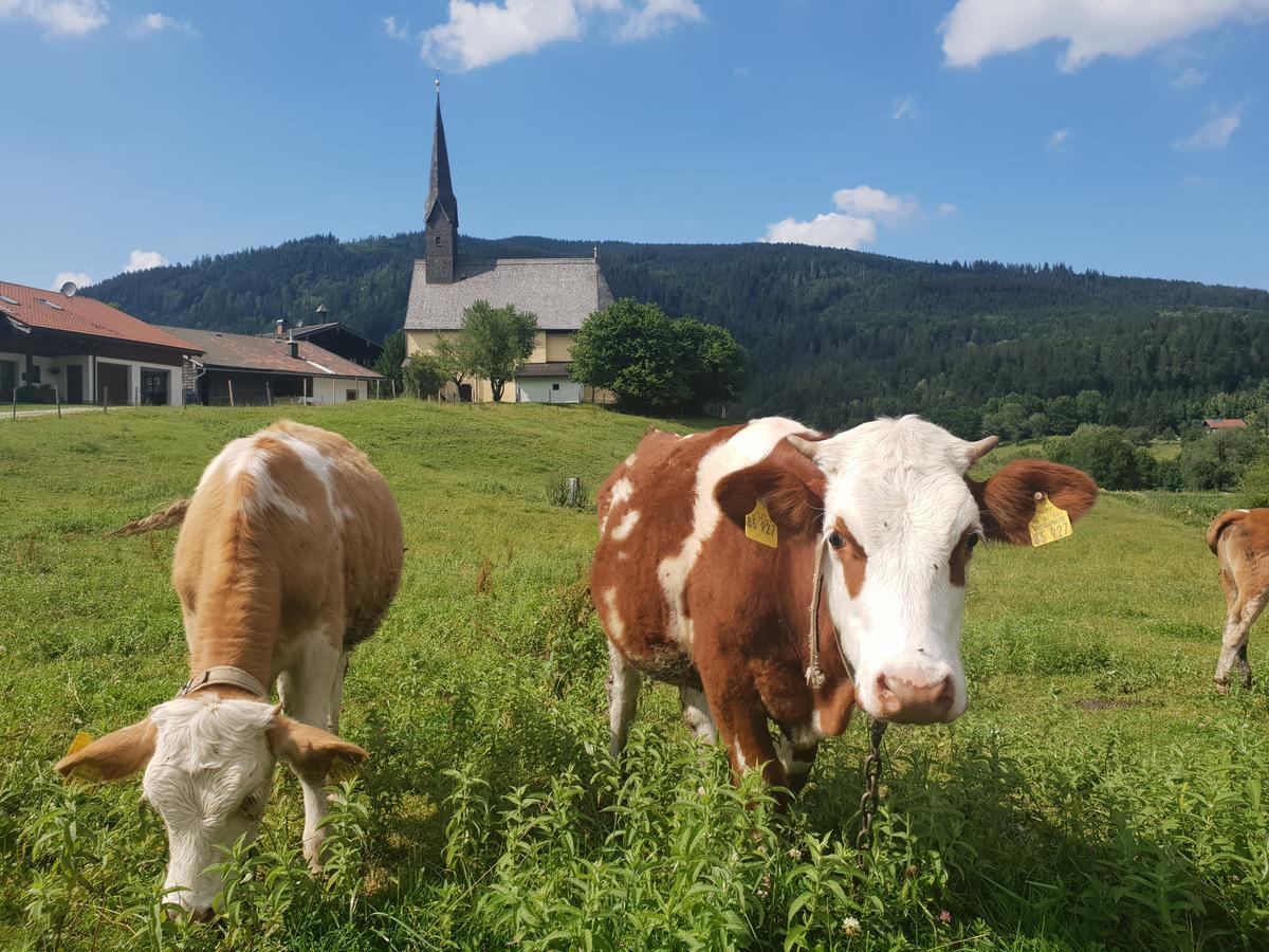 Alpenhotel Gastager Inzell Esterno foto
